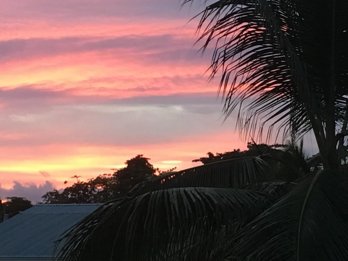 Sueno Grande B&B Puerto Viejo de Talamanca Экстерьер фото